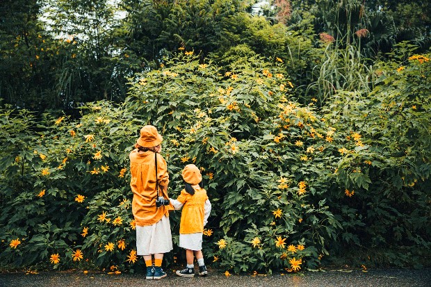 Vé máy bay Vietnam Airlines đi Đà Lạt tháng 11