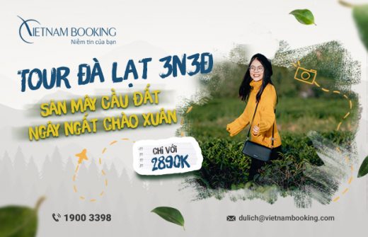 Tour đà lạt tết dương lịch 2023