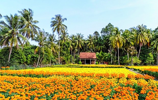 Vé máy bay Tết 2024 Đà Nẵng đi Cần Thơ