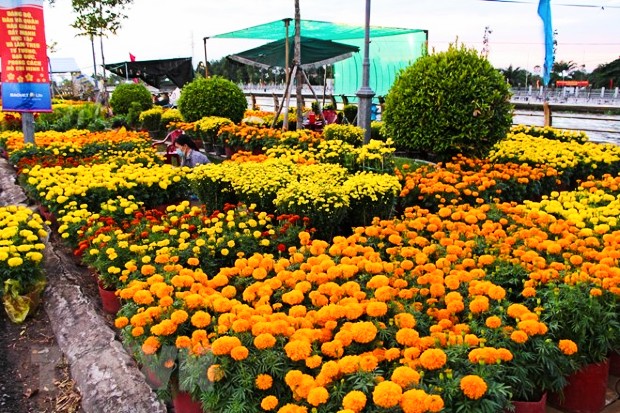 Vé máy bay Tết Đà Nẵng đi Phú Quốc giá rẻ