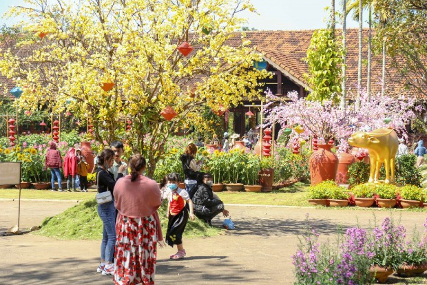 Vé máy bay Tết đi Buôn Ma Thuột