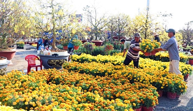 V&eacute; m&aacute;y bay Tết đi Rạch Gi&aacute;