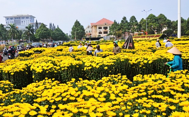 Vé máy bay Tết Hà Nội đi Buôn Ma Thuột