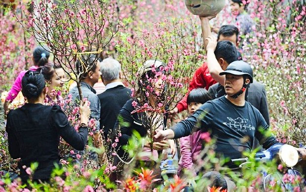 Vé máy bay Tết Sài Gòn đi Vân Đồn