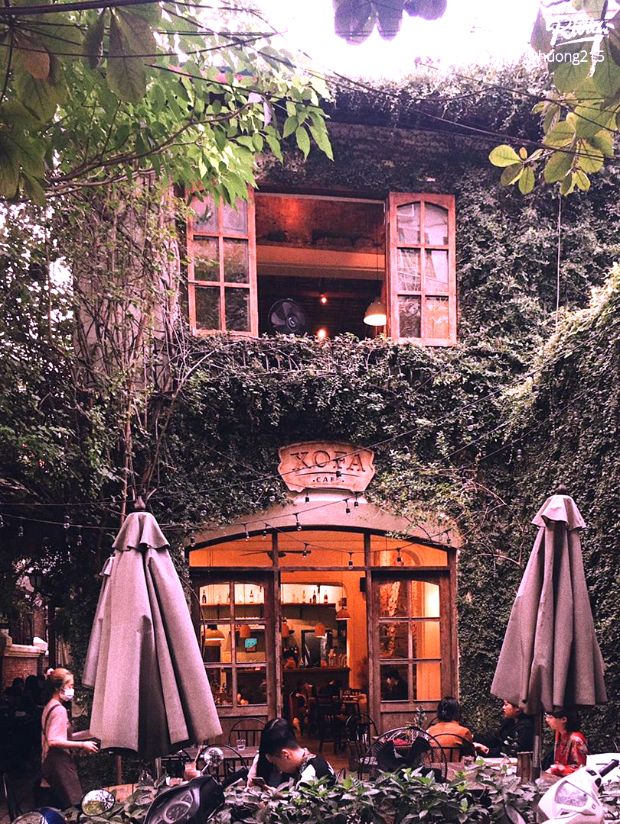 14/2 n&ecirc;n đi đ&acirc;u ở H&agrave; Nội