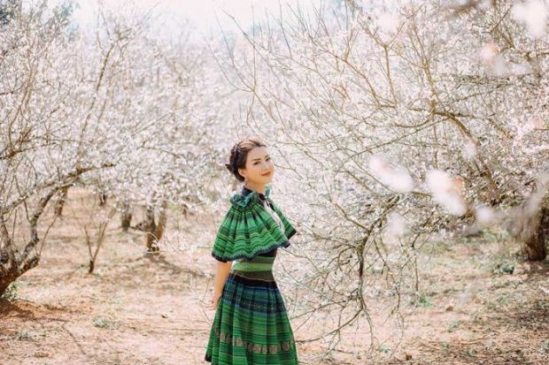 Những địa điểm chơi Tết cho gia đình - Mộc Châu