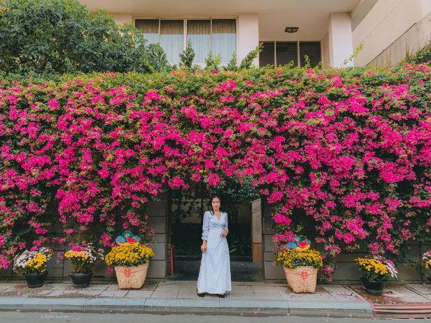 Những địa điểm chơi Tết cho gia đình - Vũng Tàu