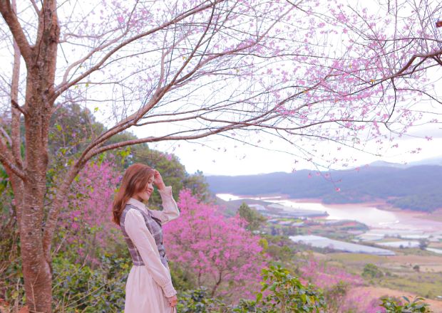 Những địa điểm chơi Tết cho gia đình - Đà Lạt