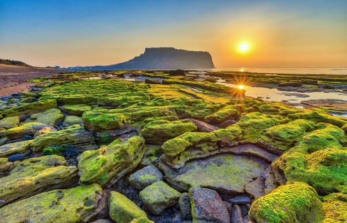 Đi Jeju kh&ocirc;ng cần visa