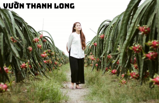 Tour Phan Thiết – Mũi Né 3N2Đ: Tà Cú – Suối Tiên – Đồi Cát Bay