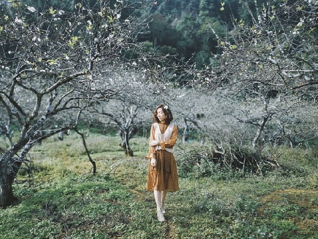 Tour Tết Nguyên Đán 2023 từ Hà Nội - Mộc Châu