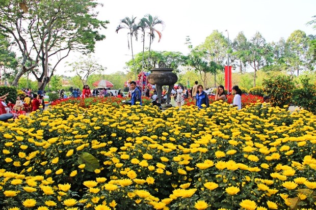 ve máy bay đi Huế tháng 1