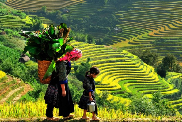 Các địa điểm du lịch Sapa - Bản Lao Chải