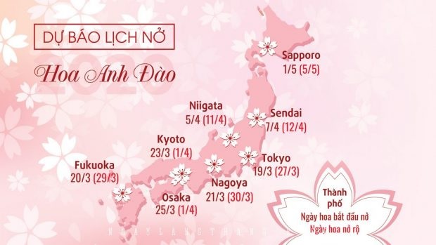 Du lịch Nhật Bản mùa hoa anh đào - lịch nở hoa