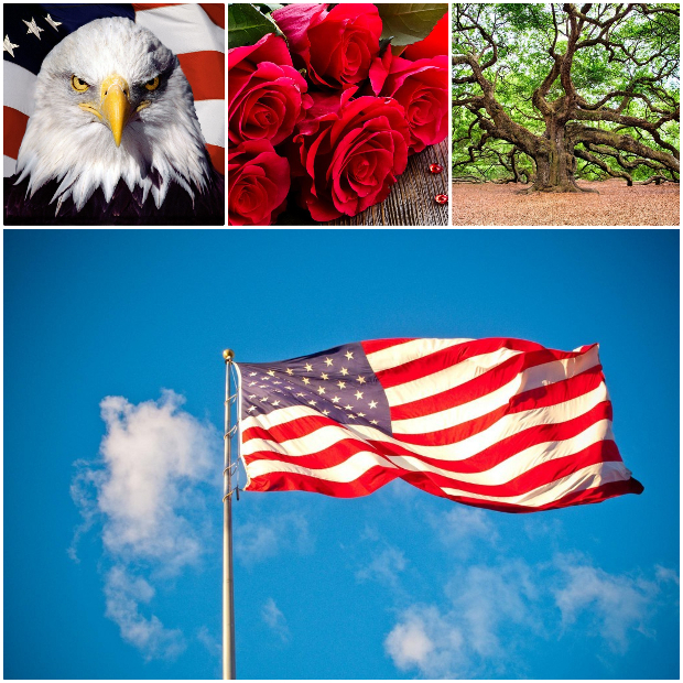 biểu tượng của nước Mỹ