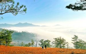 Vé máy bay Quy Nhơn đi Đà Lạt giá rẻ