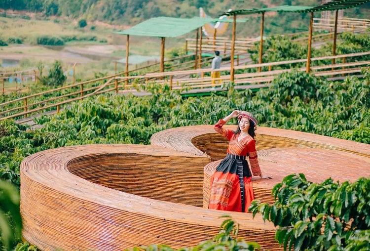 Mê Linh Coffee Garden