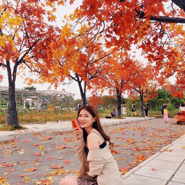 Khoảng cách Huế Hà Nội