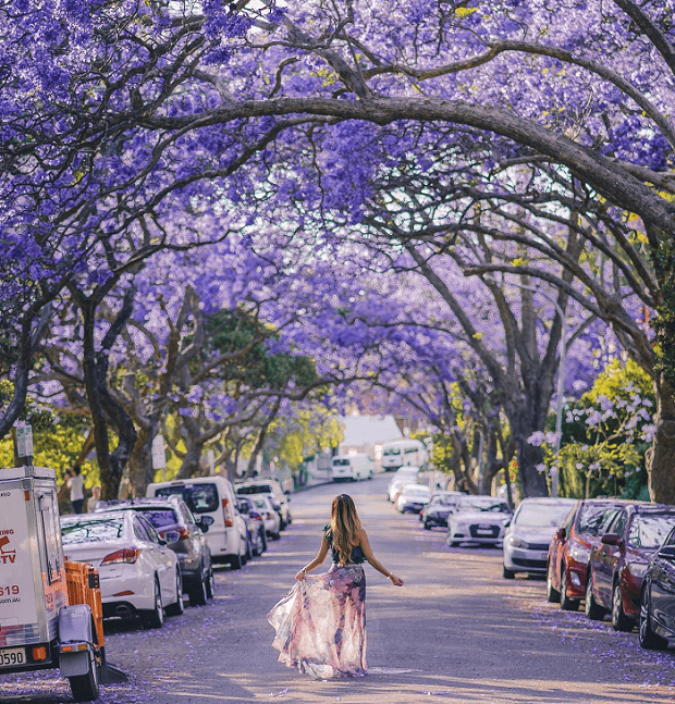 Kinh nghiệm xin visa Nam Phi