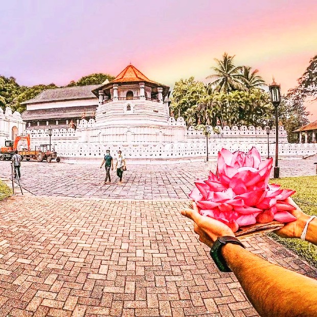 V&eacute; m&aacute;y bay đi Sri Lanka h&agrave;nh hương v&ugrave;ng đất Phật