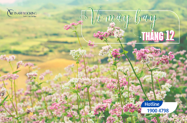 Vé máy bay tháng 12