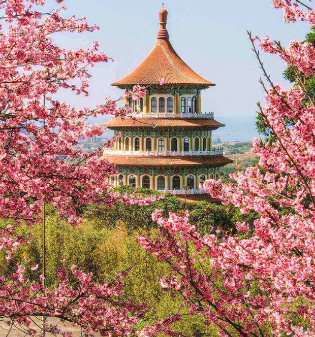 mua vé máy bay từ Tp Hồ Chí Minh đi Đài Loan