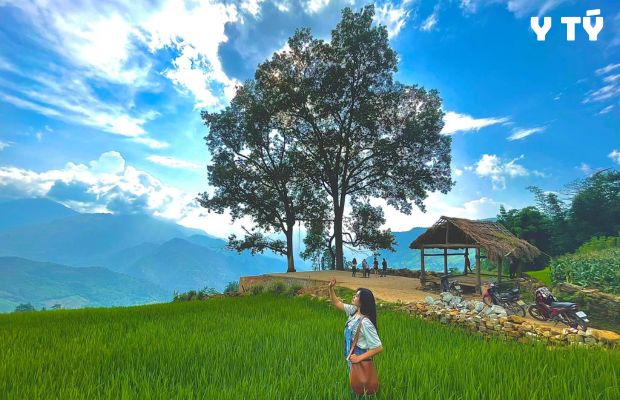 Tour du lịch Hà Nội Sapa 4 ngày 3 đêm | Moana – Fansipan – Cát Cát – Y Tý – Lũng Pô