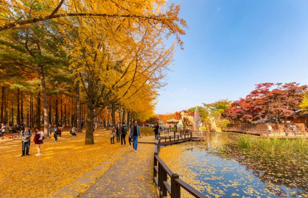 Tour Hàn Quốc 5 Ngày 4 Đêm Trọn Gói: Trải Nghiệm Seoul – Everland – Nami