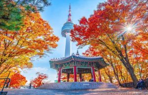 Tour Hàn Quốc 5 Ngày 4 Đêm Trọn Gói: Trải Nghiệm Seoul – Everland – Nami
