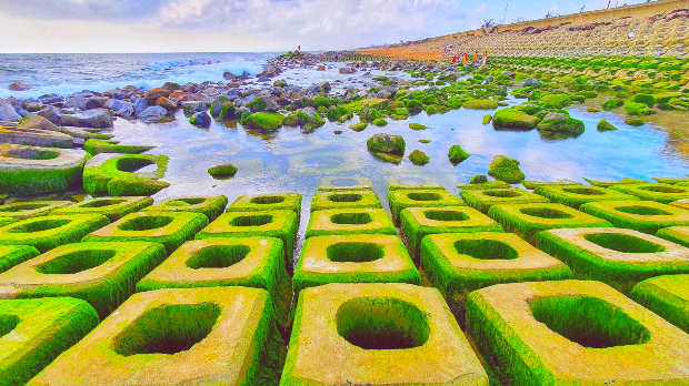 Đắm chìm vào thiên nhiên ở kè Chắn Sóng Xóm Rớ. kè Chắn Sóng Xóm Rớ