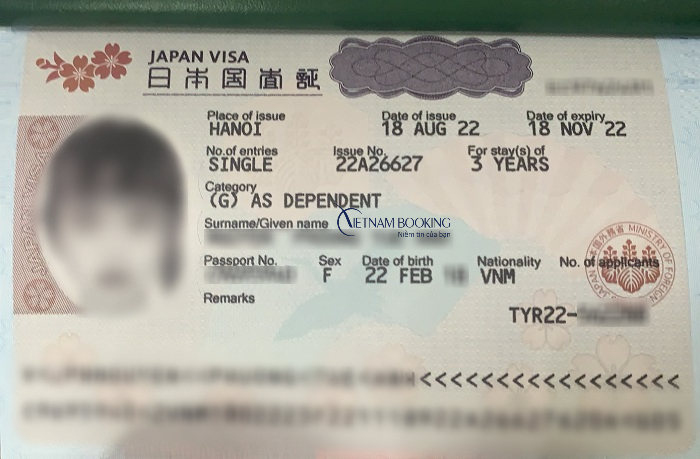 Các Loại Visa Nhật Bản: Hướng Dẫn Chi Tiết Và Thông Tin Cập Nhật
