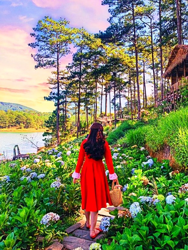 Vé máy bay từ Cần Thơ đi Đà Lạt Bamboo