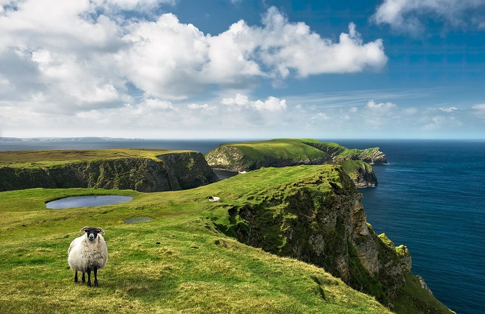 visa đi ireland công tác