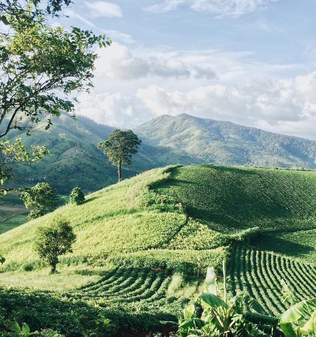 vé máy bay đi Pleiku