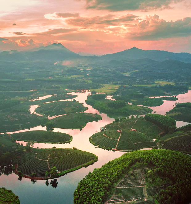 Đảo ch&egrave; Thanh Chương