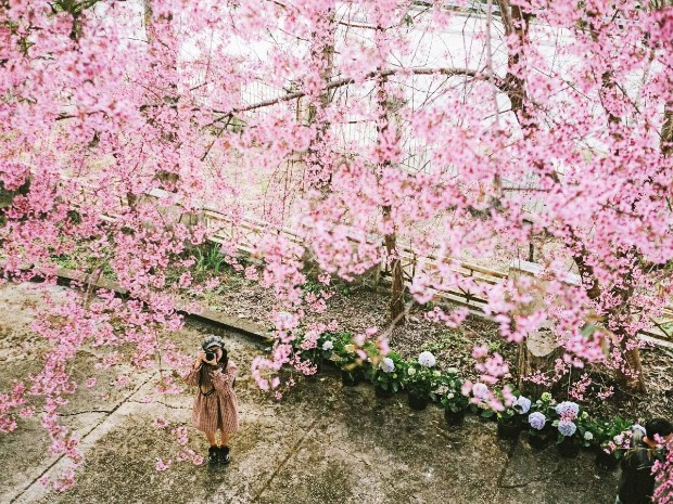 Vé máy bay Tết 2023 Sài Gòn đi Đà Lạt