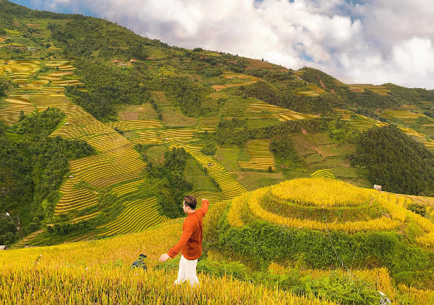 mùa lúa chín Tây Bắc