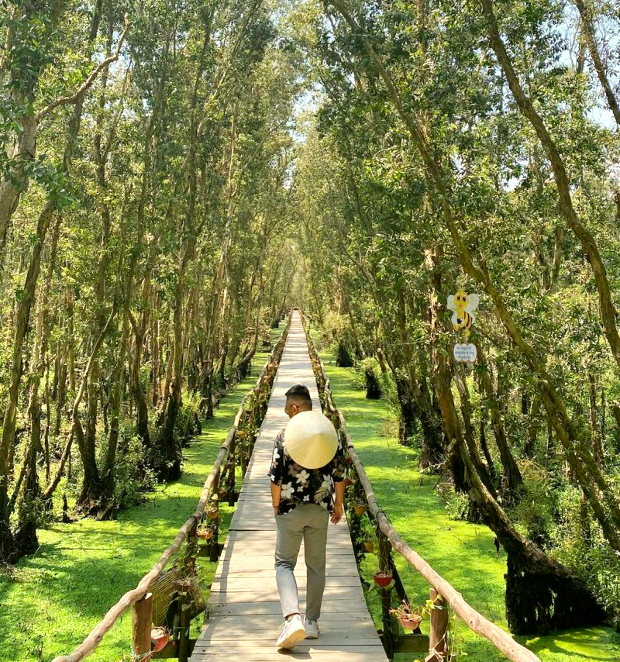 rừng tràm Trà Sư