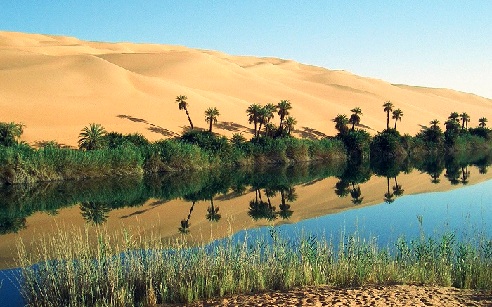 dịch vụ l&agrave;m visa libya