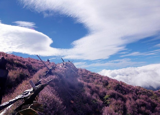 Tour du lịch 2023 - Tà Chì Nhù