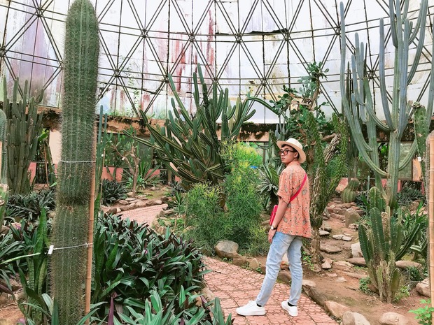 Tour du lịch Tết nguyên đán 2024 từ Hà Nội - khám phá hệ thực vật tại Ba Vì