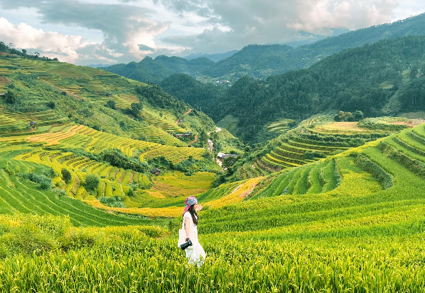 Tháng 10 ghé thăm vùng đồi núi Tây Bắc mùa lúa chính ấn tượng nhất trong năm mùa lúa chín Tây Bắc