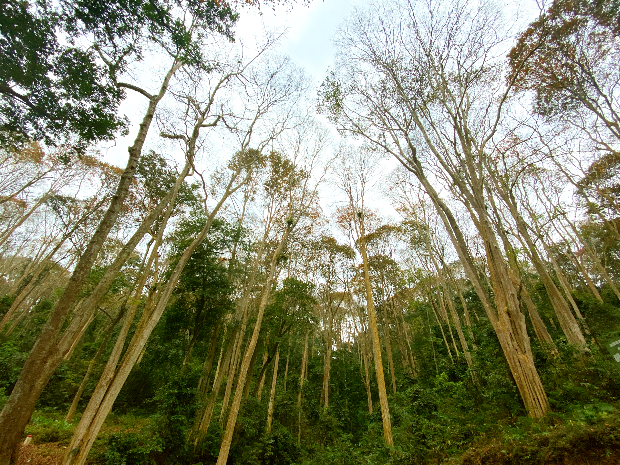 du lịch Nghệ An th&aacute;ng 10