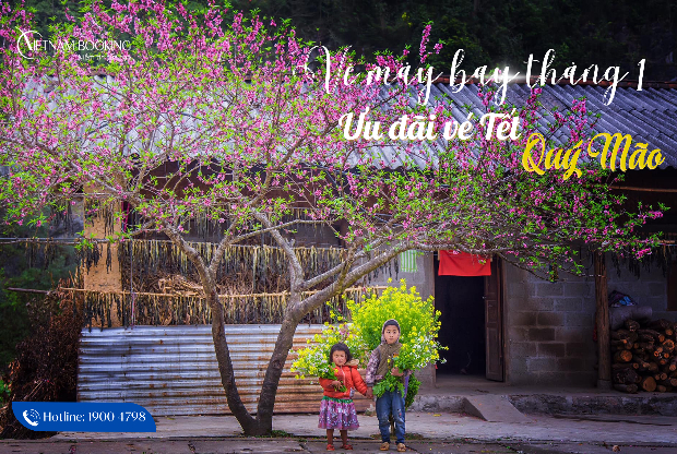 vé máy bay tháng 1