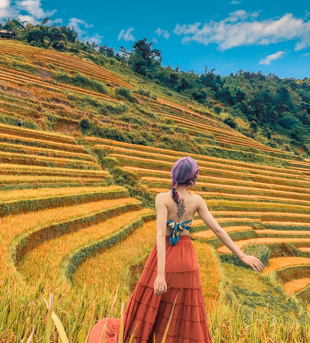 mùa lúa chín Tây Bắc