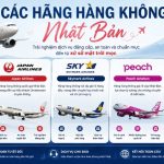 Hướng dẫn chọn các hãng hàng không Nhật Bản tốt nhất 
