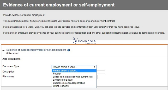 xin visa &uacute;c online