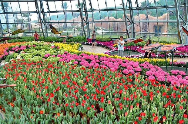 Khu du lịch Vinpearl Nha Trang - Đồi Vạn Hoa