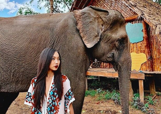 Tour du lịch T&acirc;y Nguy&ecirc;n Tết 2023 - yok đ&ocirc;n