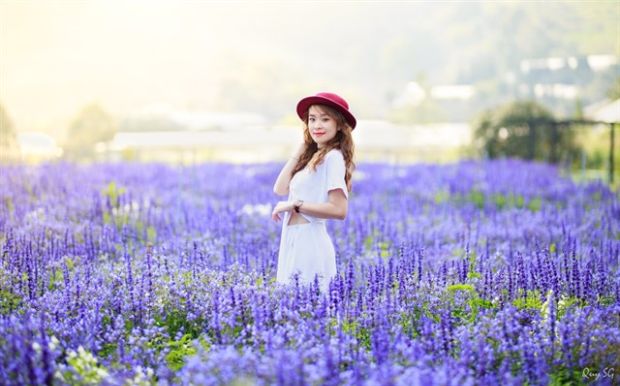 Tour du lịch Đà Lạt Tết 2023 - F cánh đồng hoa